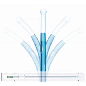 IQ Cath 10Fr Hydrophilic IQ2004.10